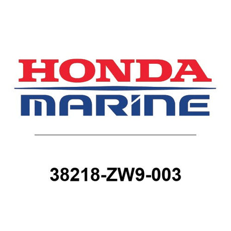 38218-ZW9-003