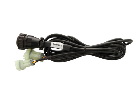TEXA - Generic Kawasaki Cable from 2010 (3151/AP31) | Bike Diagnostics | 3903439
