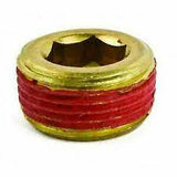 Mercury - Brass Plug - 3/4"-14 NPTF - 22-428611