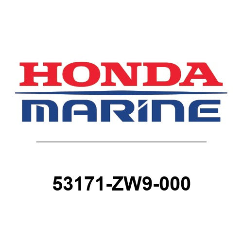 53171-ZW9-000