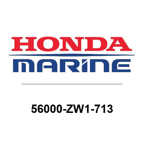56000-ZW1-713