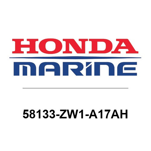 58133-ZW1-A17AH