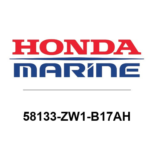 58133-ZW1-B17AH
