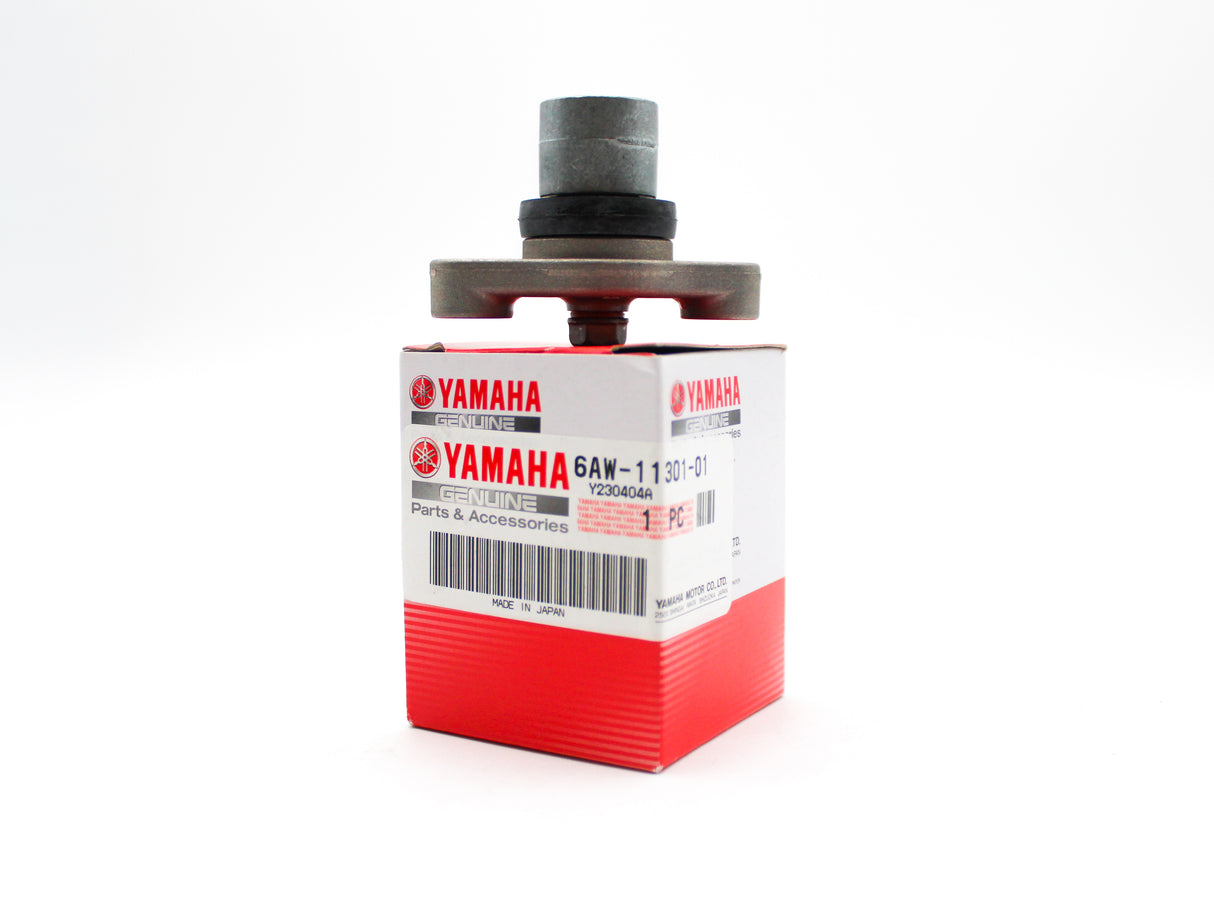 Yamaha - Anode cover assy - 6AW-11301-01-00