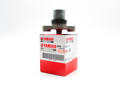 Yamaha - Anode cover assy - 6AW-11301-01-00