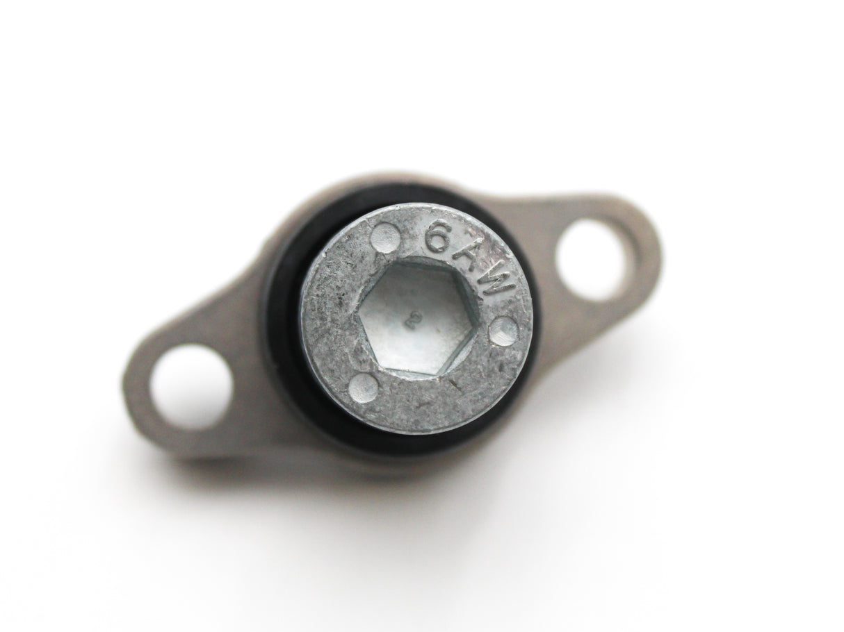 Yamaha - Anode cover assy - 6AW-11301-01-00