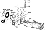 Raritan - Centrifugal Discharge Pump Kit Fits Crown Head II - CR1