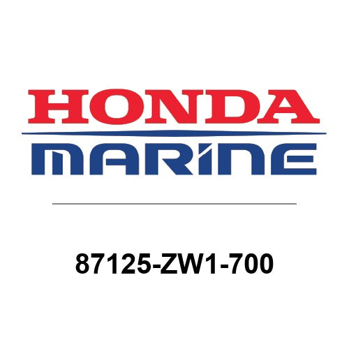 87125-ZW1-700