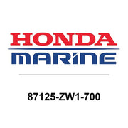 87125-ZW1-700