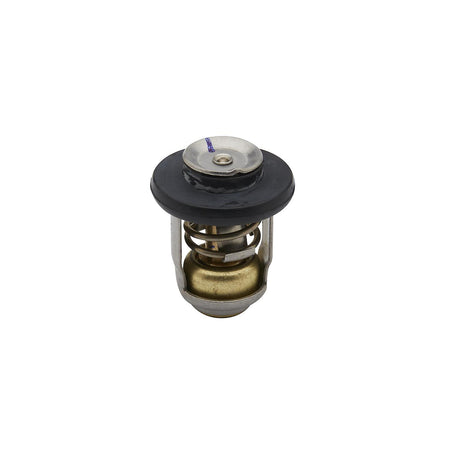 Mercury 15 - 20 Thermostat - 8M0139434