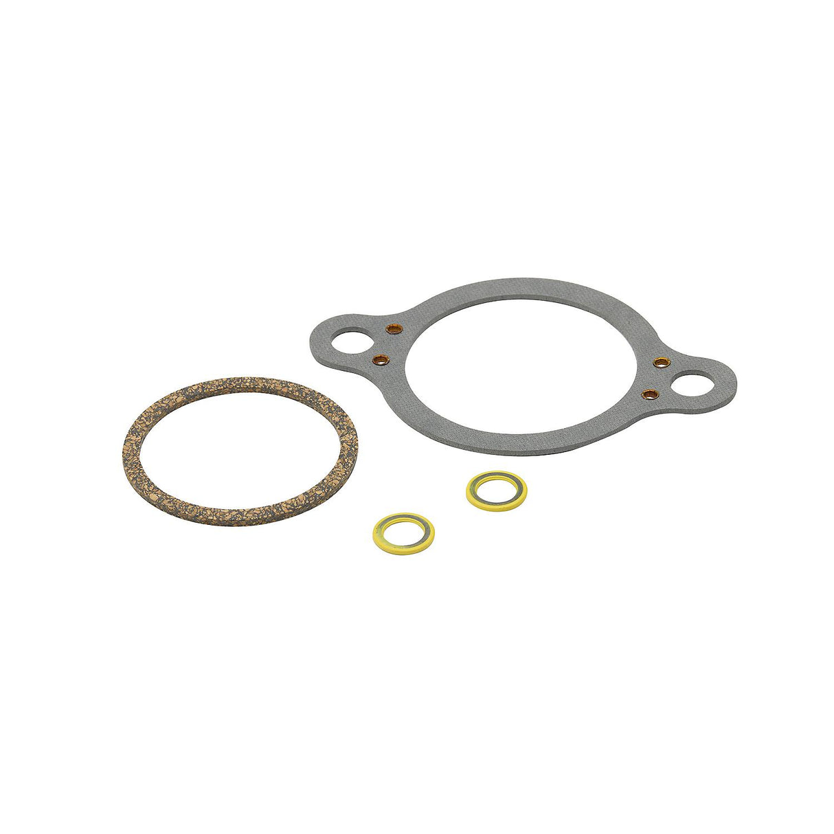Mercury 5.0L 5.7L MPI Alpha RWC Mercruiser 300 Hour Service Kit - 8M0147068 - 2002-Current