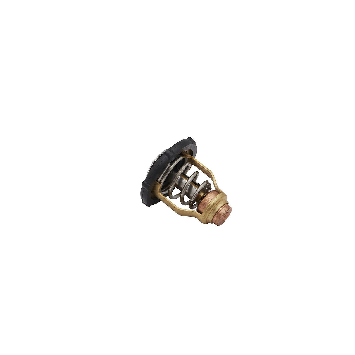 Mercury - Thermostat - 8M6010300