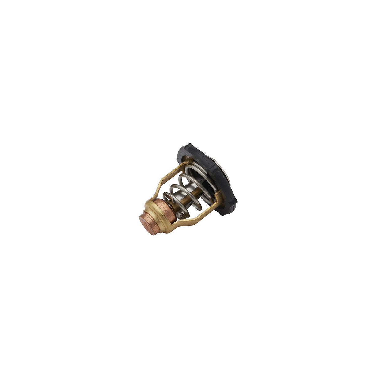 Mercury - Thermostat - 8M6010300