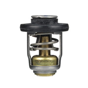 Mercury - Thermostat - 8M0119207