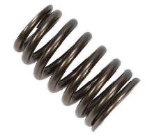 Mercury - Valve Spring - Fist 4.5L MPI & 6.2L MPI - 24-8M6002386