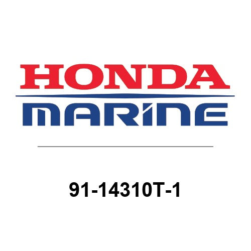 91-14310T-1