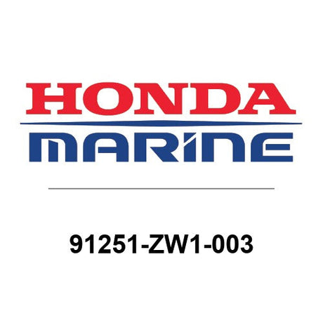 91251-ZW1-003
