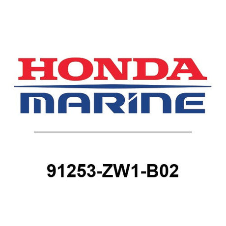 91253-ZW1-B02