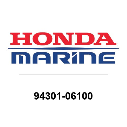 94301-06100