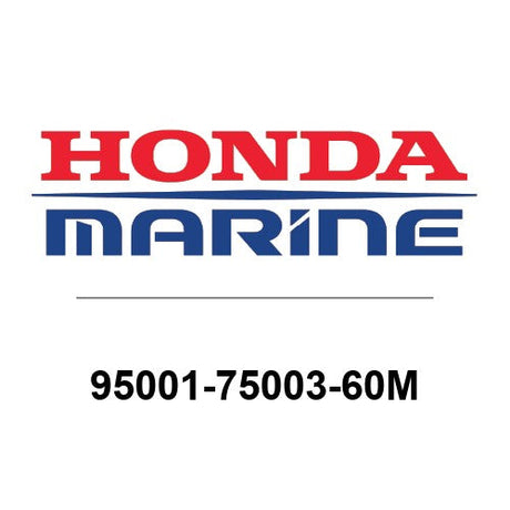 95001-75003-60M