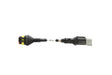 TEXA - Marine Evinrude Cable (AM13) | Marine Diagnostics | 3902865