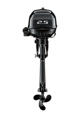 Suzuki Portable DF2.5 Outboard Motor - Shop All Models