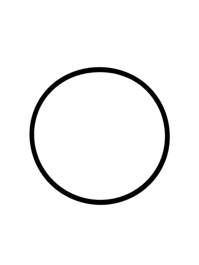 Mercury O-Ring (2.612 x .103) - 25-805732
