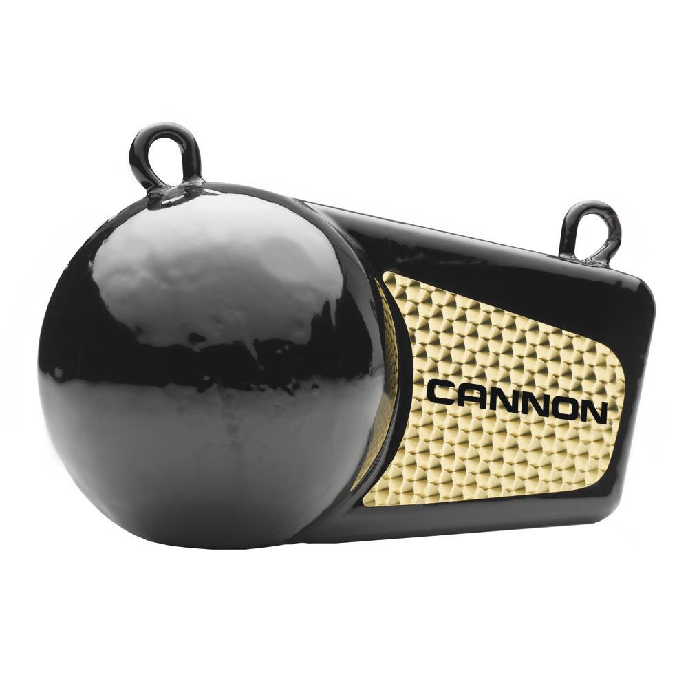 Cannon 12lb Flash Weight - 2295190