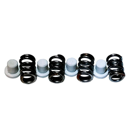 Maxwell Plunger/Spring Kit - 2200-4500 - P101550