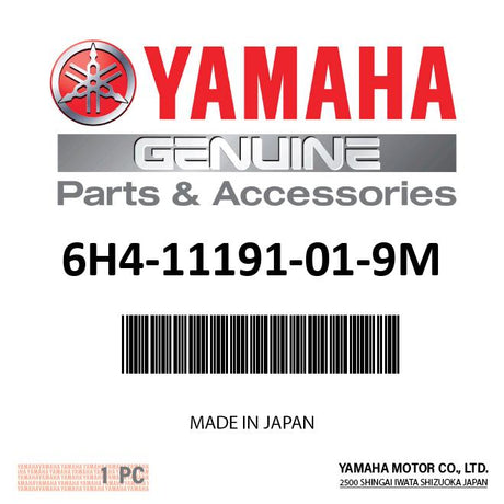 Yamaha - Cover,cyl.head 1 - 6H4-11191-01-9M
