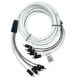 FUSION Standard RCA Cable - 4 Channel - 6' - 010-12892-00