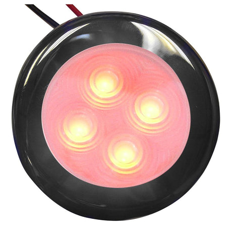 Aqua Signal - Bogota 12V 4-LED Accent Light For Indoor or Outdoor Use, Stainless Steel Housing - 164077