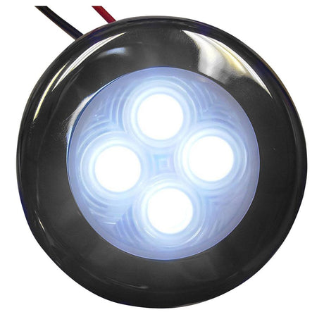 Aqua Signal - Bogota 12V 4-LED Accent Light For Indoor or Outdoor Use, Stainless Steel Housing - 164047