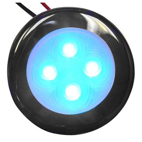 Aqua Signal - Bogota 12V 4-LED Accent Light For Indoor or Outdoor Use, Stainless Steel Housing - 164057