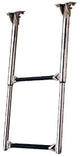 UNDER PLATFORM TELESCOPING LADDER (GARELICK) - 1962361