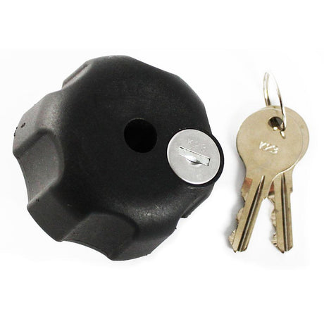 RAM Mount - Knob with Keyed Lock & 1/4" - 20 Brass Hole - RAM-KNOB3LU