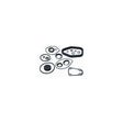 Sierra - 396355 OMC Seal - 2659
