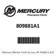 Mercury - Valve kit - 809881A1