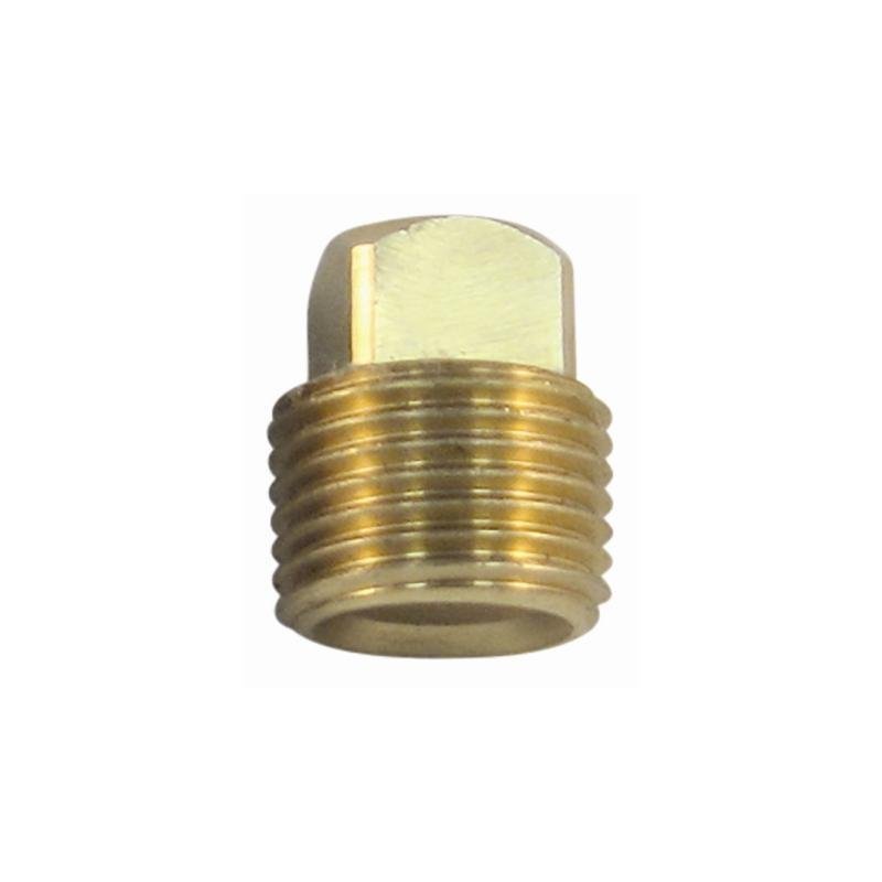 BRASS PIPE PLG 1/2" 2/CD