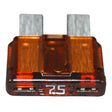 PLG IN FUSE 30 AMP 5/BX