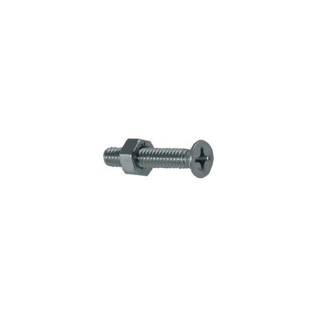 1/4-20X2 PHIL PAN M/S