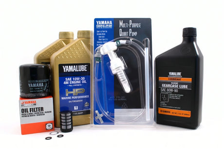 Yamaha F25 20 Hour Service Maintenance Kit Yamalube 10W-30 Full Synthetic - 2005