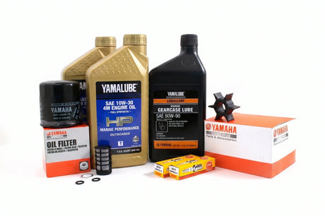 Yamaha F25 100 Hour Service Maintenance Kit w/ Cooling - Yamalube 10W-30 Full Synthetic - 2005