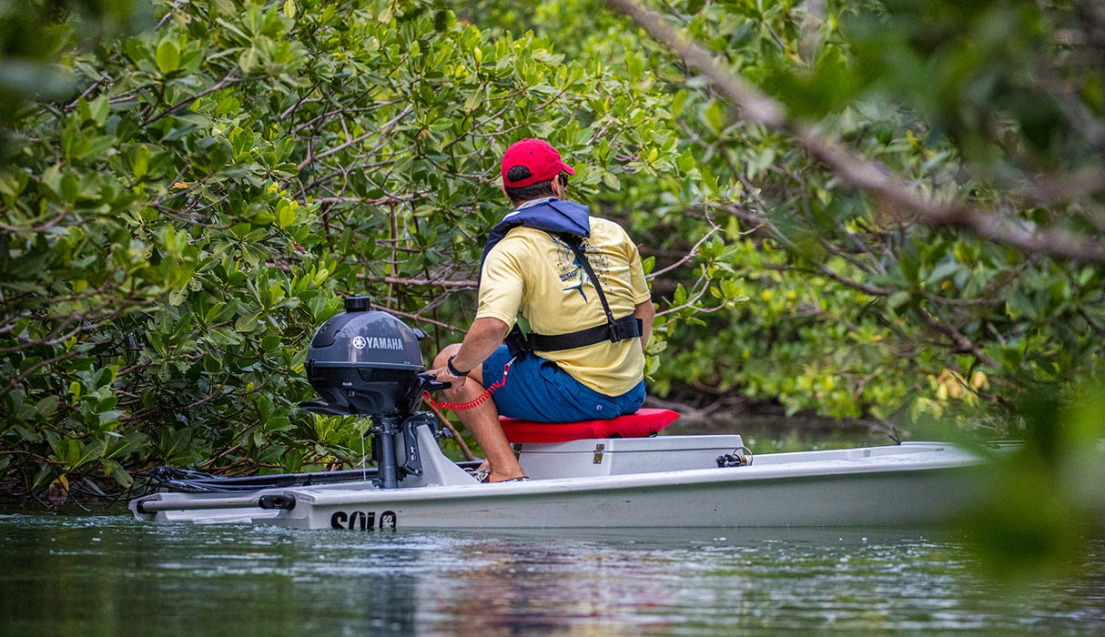 Yamaha F6 Outboard Motor