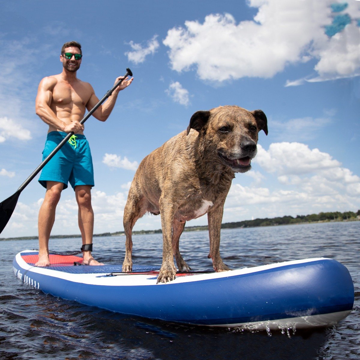 Aqua Leisure 11&#39; Inflatable Stand-Up Paddleboard Drop Stitch w/Oversized Backpack f/Board & Accessories - APR20927