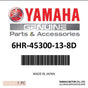 Yamaha - Lower unit assy - 6HR-45300-13-8D