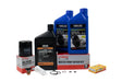 Yamaha F25 300 Hour Service Maintenance Kit - Yamalube 10W-30 - 1998-1999